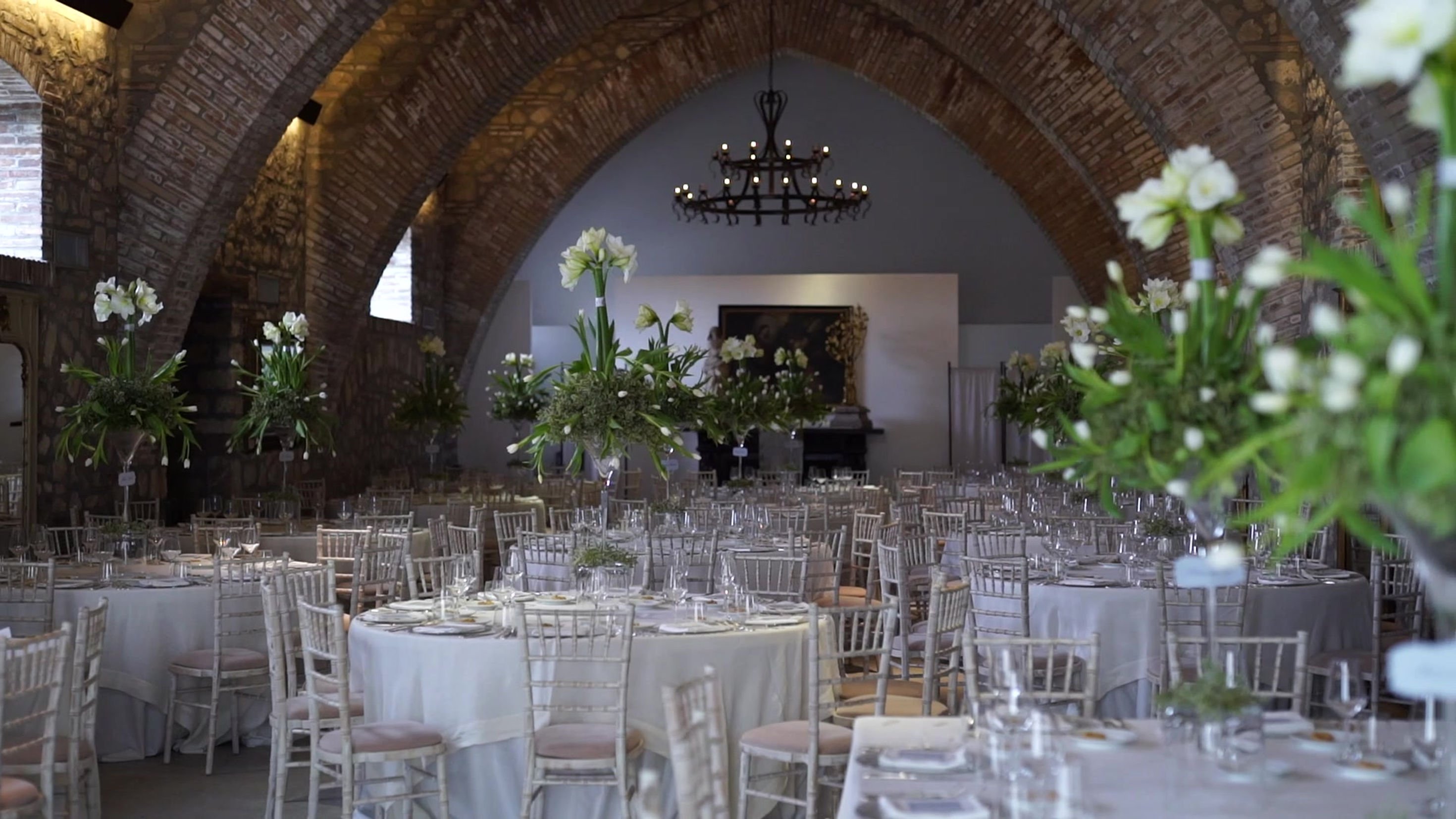 Bianco Divino
